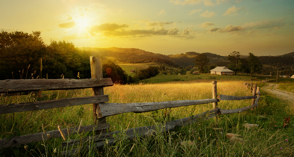 location-d’un-terrain-agricole-:-bail-rural-ou-bail-precaire-?