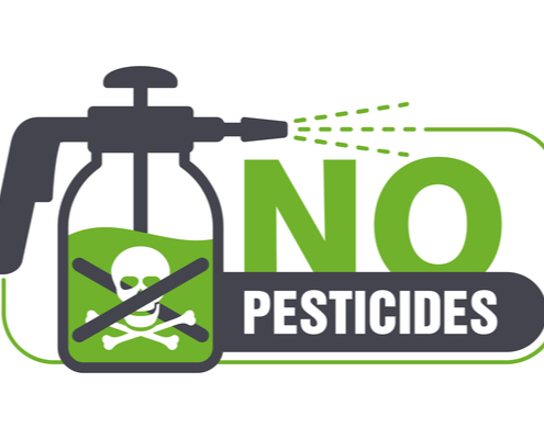 usage-des-pesticides-:-la-liste-des-interdictions-s’elargit