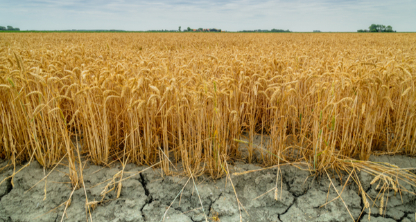 secheresse-:-de-nouvelles-mesures-pour-soutenir-les-agriculteurs