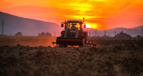 secteur-agricole-et-crise-ukrainienne-:-il-est-temps-de-faire-sa-demande-d’aide