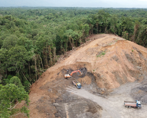 vers-des-produits-interdits-d’importation-pour-lutter-contre-la-deforestation-?