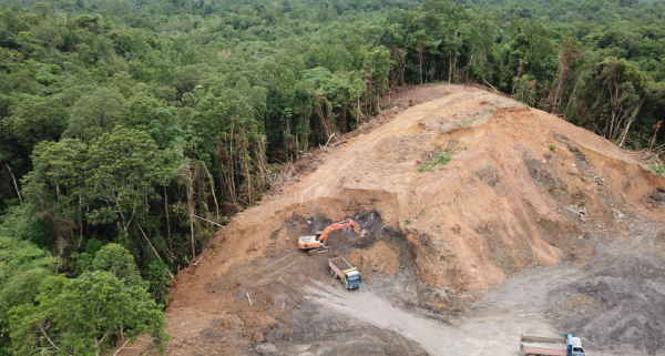 vers-des-produits-interdits-d’importation-pour-lutter-contre-la-deforestation-?