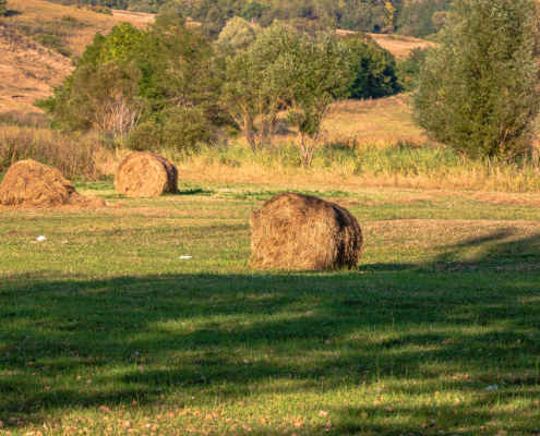 agrandissement-d’exploitations-agricoles-:-quand-la-procedure-est-suspendue…