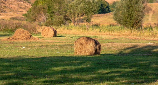 agrandissement-d’exploitations-agricoles-:-quand-la-procedure-est-suspendue…