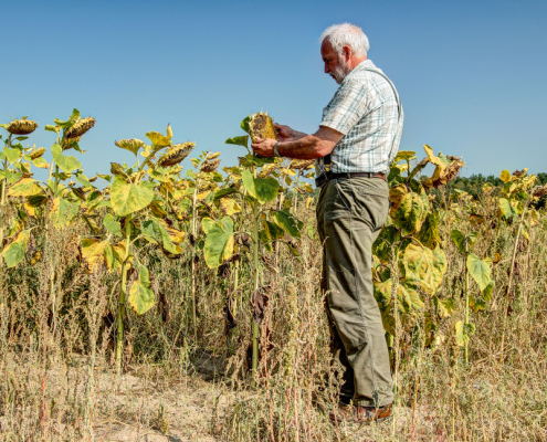 aleas-climatiques-:-un-dispositif-pour-(r)assurer-les-agriculteurs-!