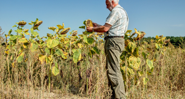 aleas-climatiques-:-un-dispositif-pour-(r)assurer-les-agriculteurs-!