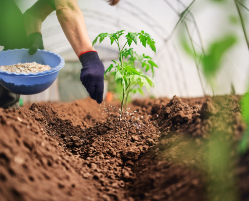 produits-fertilisants-:-un-secteur-sous-controle