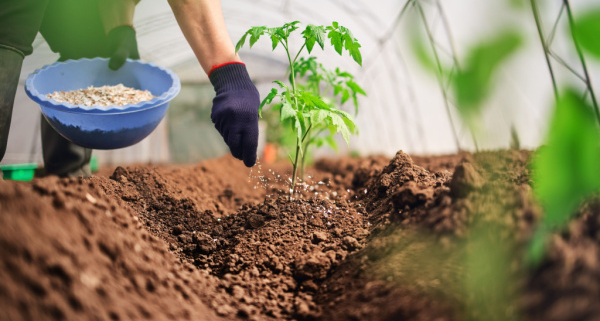 produits-fertilisants-:-un-secteur-sous-controle