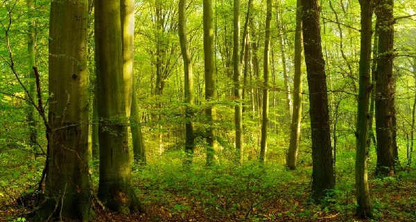 don-et-reduction-d’impot-:-de-nouveaux-beneficiaires-!