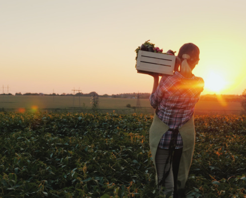 agriculteurs-:-des-evolutions-juridiques-a-connaitre