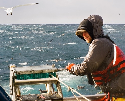 vente-de-poissons-destines-a-la-peche-:-quel-taux-de-tva-appliquer-?