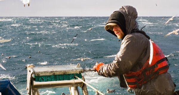 vente-de-poissons-destines-a-la-peche-:-quel-taux-de-tva-appliquer-?