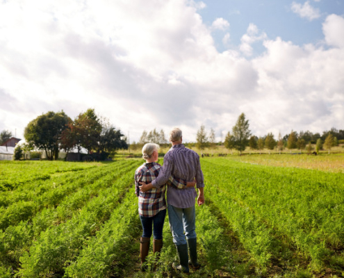 retraite-des-non-salaries-agricoles-:-bientot-un-nouveau-mode-de-calcul-!