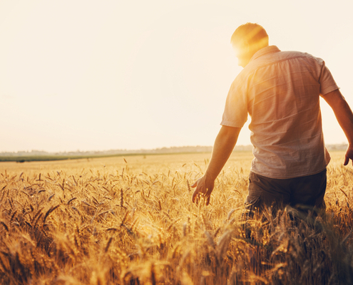 agriculteurs-:-du-nouveau-concernant-vos-prestations-sociales-!