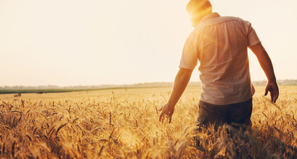 agriculteurs-:-du-nouveau-concernant-vos-prestations-sociales-!