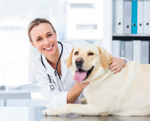 c’est-l’histoire-d’un-employeur-pour-qui-autonomie-ne-rime-pas-avec-liberte…